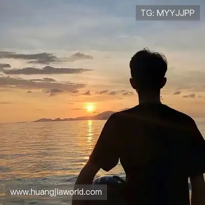 符弛照